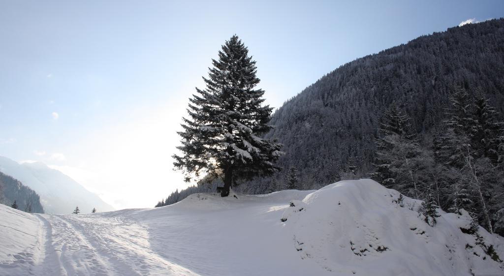 Apartments Haus Schoen - Preise Inclusive Pitztal Sommer Card Jerzens Zewnętrze zdjęcie